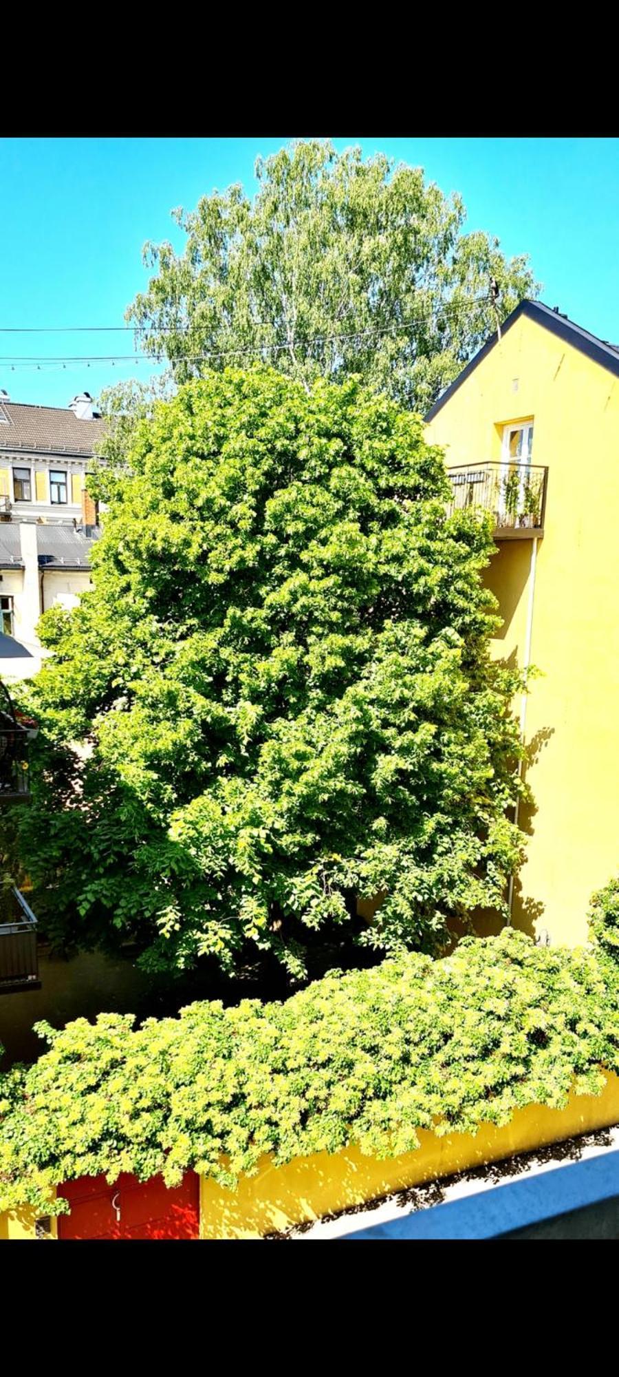 Modern Central Apartment Next To Beautiful Nature2424 오슬로 외부 사진